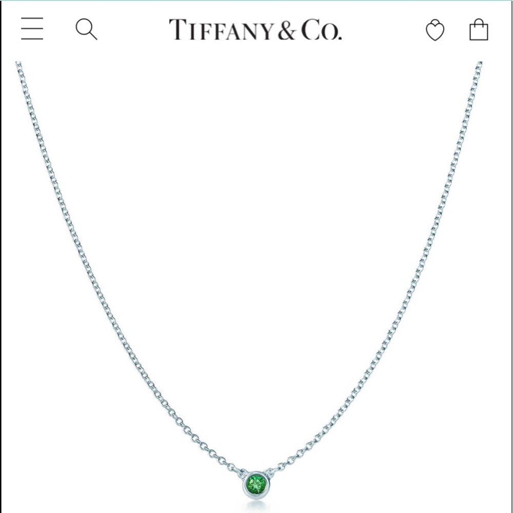Tiffany&Co. Necklace